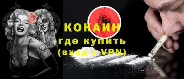 твердый Горняк