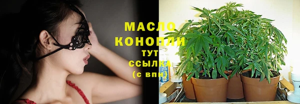 твердый Горняк