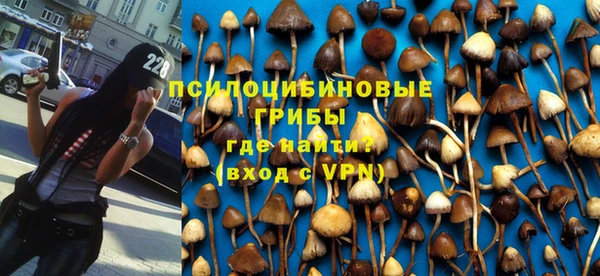 кокаин Горнозаводск