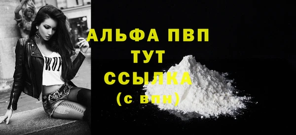 твердый Горняк