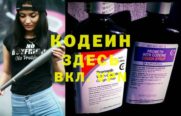 твердый Горняк