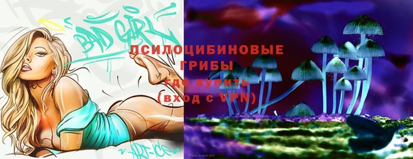 твердый Горняк